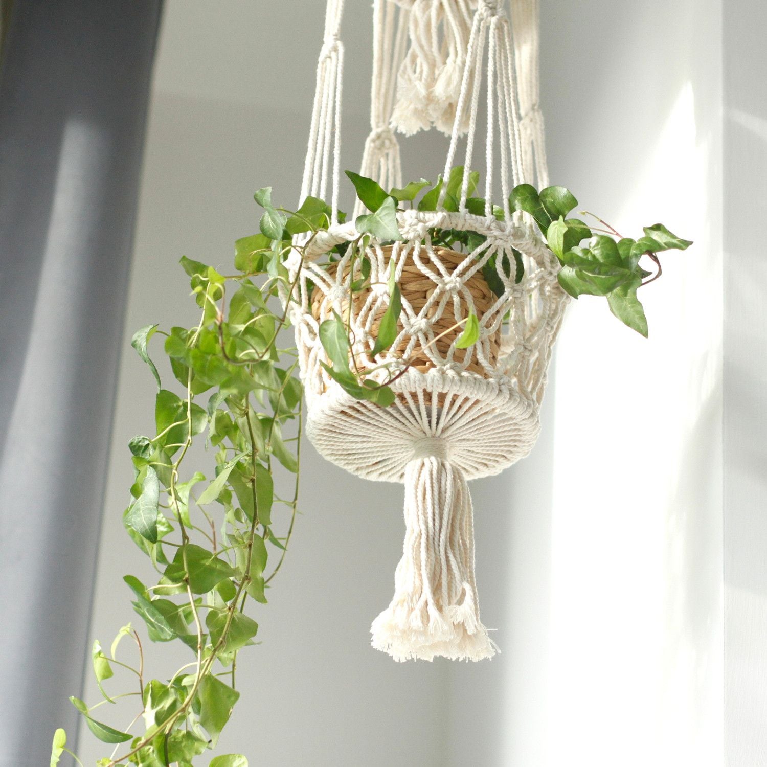 Macramé colgante en color crema con planta verde, diseño bohemio y detalles en borlas. Perfecto para decoración interior.