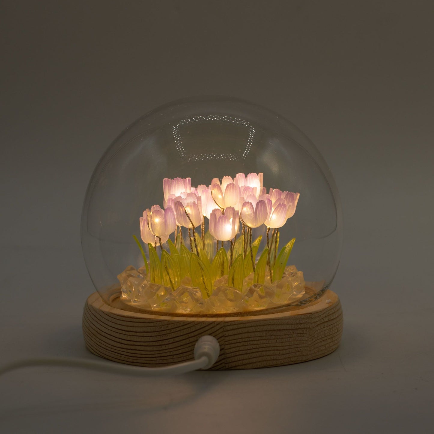 Domo de jardín Brillo Floral - 20 tulipanes - LED USB