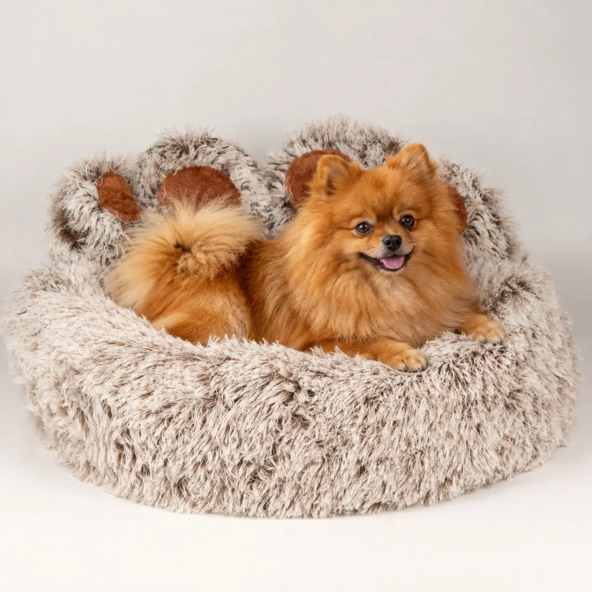 Perro pequeño de pelo anaranjado tumbado en una cama de pelo largo con forma de huella