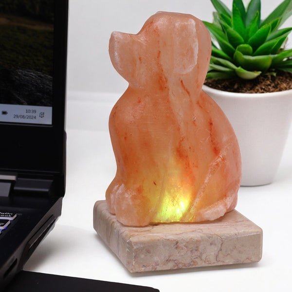 Lámpara de sal USB - Perro