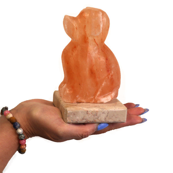 Lámpara de sal USB - Perro