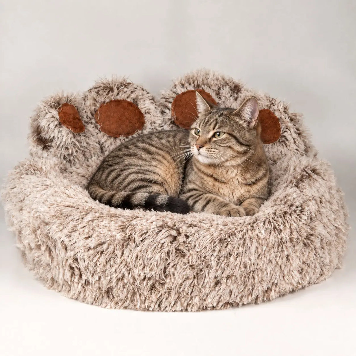 Gato atigrado tumbado en una cama de pelo largo para mascotas con forma de huella