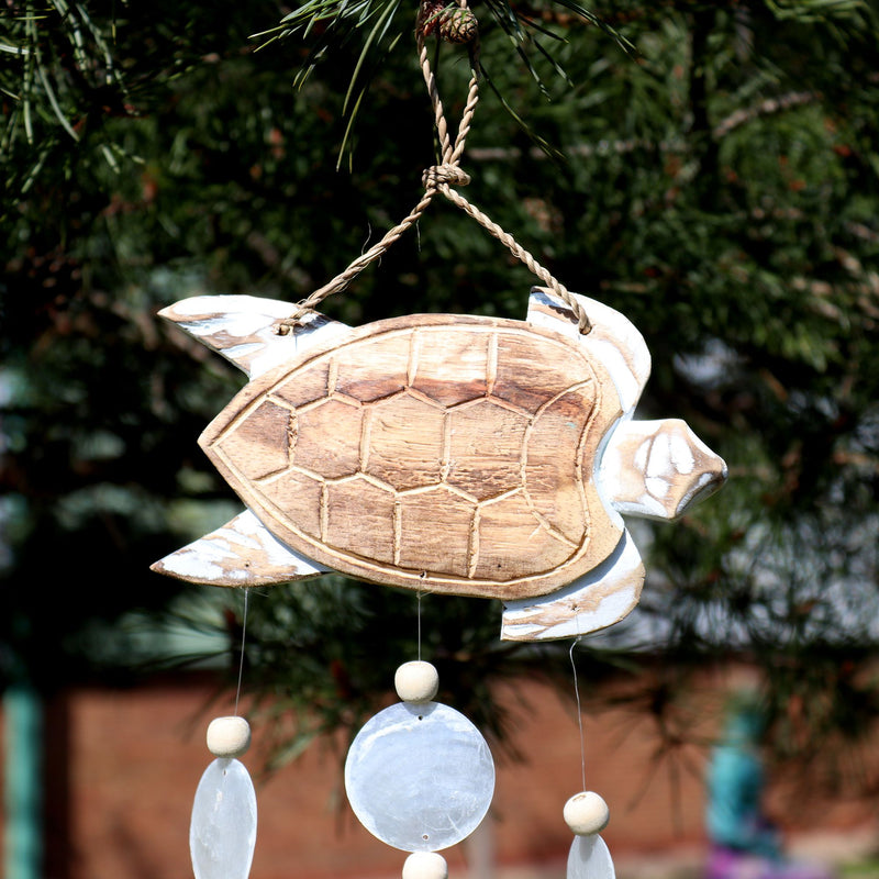 Talla de Tortuga en Blanco Lavado y Gota Natural