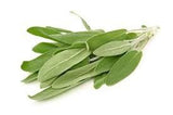Champú Sólido - Salvia y Enebro