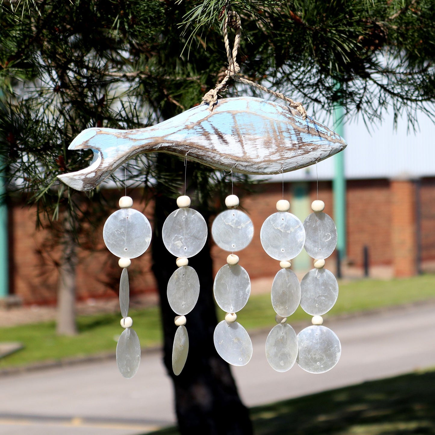 Talla de Pez en Azul Lavado y Gota Natural