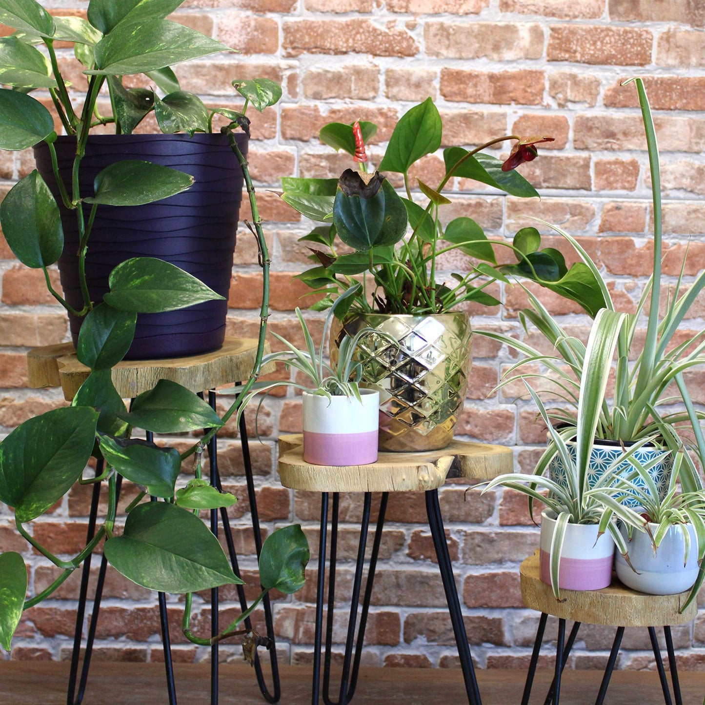 Juego de 3 maceteros de madera Gamell - Natural