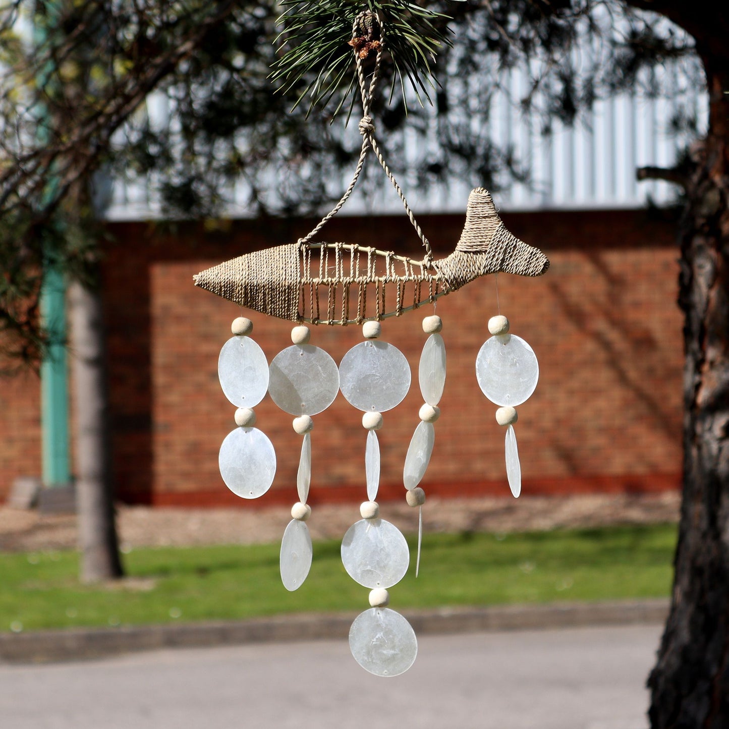 Pez en Cuerda y Gota Natural