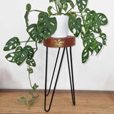 Soporte para plantas de madera de Albasia - Blanqueado