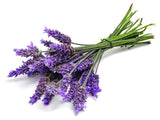 Champú Sólido - Lavanda y Romero