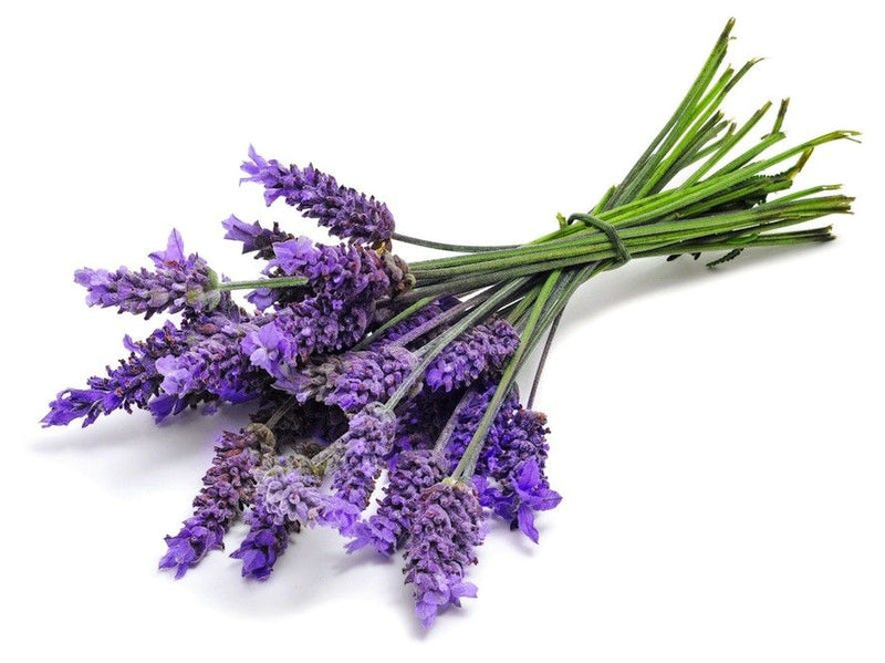 Champú Sólido - Lavanda y Romero