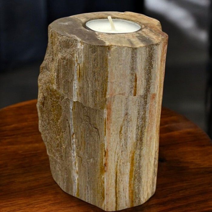 Portavelas de madera petrificada - Soltero alto