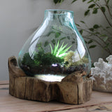 Pecera grande de vidrio fundido - 32cm