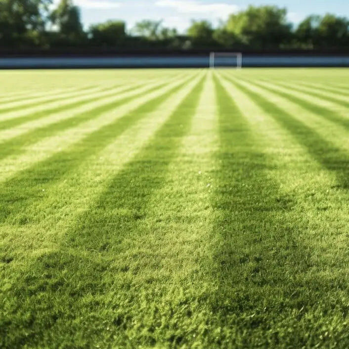 Sustrato para Césped Deportivo Premium mejorando el drenaje y la aireación del terreno