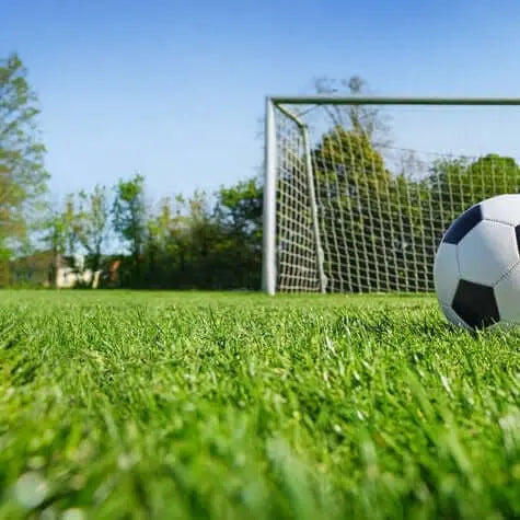 Aplicación de sustrato para césped deportivo en jardín