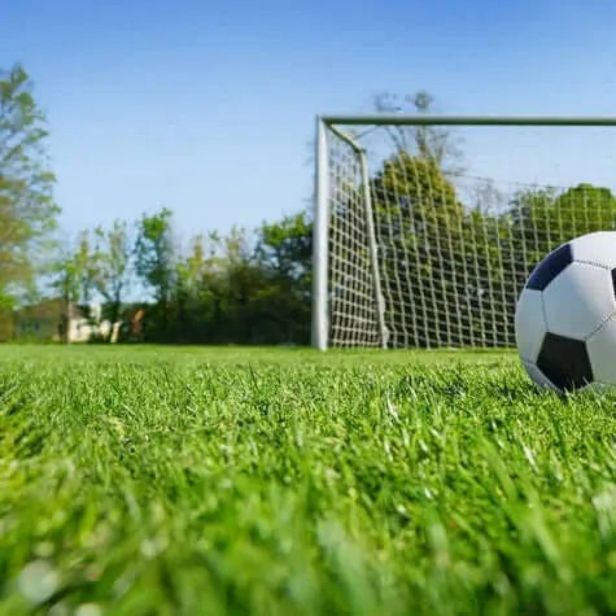 Sustrato para Césped Deportivo Premium con mezcla equilibrada de arena y materia orgánica