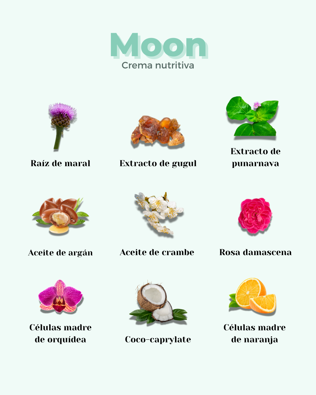 Crema Facial ECO Nutritiva Well Aging MOON