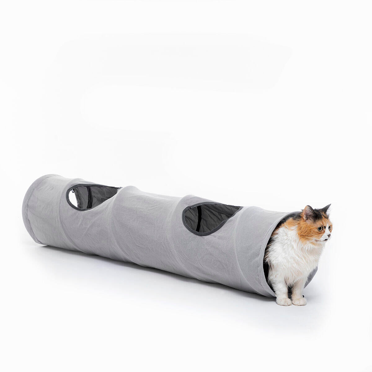 túnel para gatos portátil y ligero con gato dentro