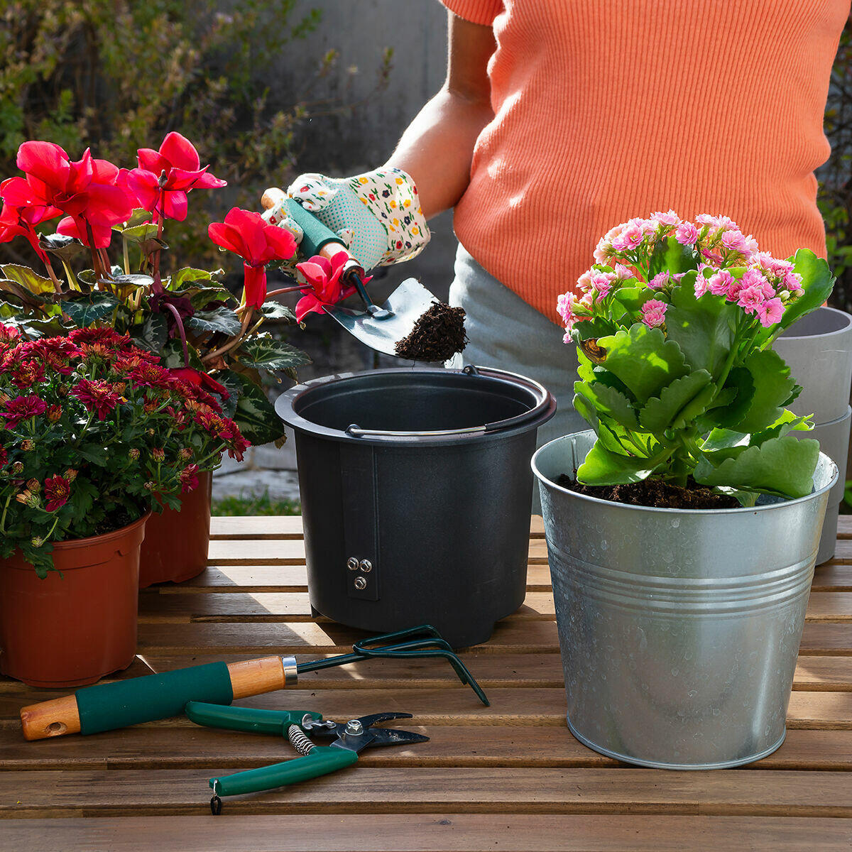 Compostador eléctrico de cocina Ewooster con diseño elegante y tecnología avanzada